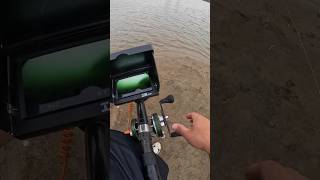 #fishing #shortsvideo #cameracaught #câucá camera