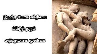 இழந்த போக சக்தியை மீட்டு தரும் மூலிகை - Anmai Athikarika