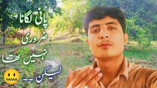 pani Lagana zaruri nahin tha lekhan🤐||Kashif Arain||