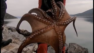 ψάρεμα χταπόδι στο heavy casting Octopus Fishing