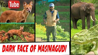 MOYAR | BOKKAPURAM |SINGARA | MASINAGUDI WILDLIFE| SIGUR FALLS