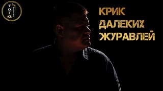 ДУШЕВНЫЙ ХИТ - Крик далеких журавлей - Виталий Цаплин