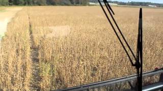 Harvesting soybeans, 2014