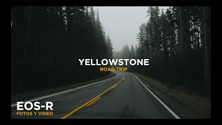 Road Trip a Yellowstone -  Canon EOS R Fotos y Video 2019