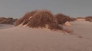 White Sands National Park, Physical And Human Geography.