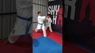 Kumite Practice #karate #wkfkumite #karatetraining #karatedo #shyamkarateacademy#ska