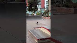 Ce teckel est un skater professionnel #skating #skater #teckel #skate #shorts