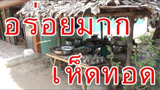 เห็ดทอดอร่อยมาก 激うま！タイの地方の珍味！？その正体は！？