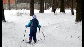 Лижі - сімейна прогулянка