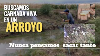 🚶Recorriendo un arroyo  - MUCHOS PECES caminata y nueva AVENTURA🌥️