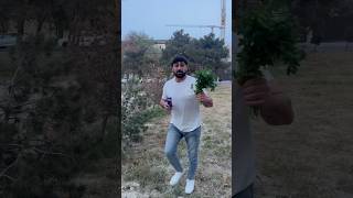 GÖYƏRTİ  😂 #shortvideo #azerbaycan #shots