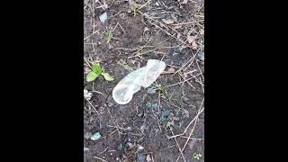 Out in the Countryside! 🌳🌲⛰️. A Dirty Dobber found in Whitwick Woods, Leics! WTF‼️😲