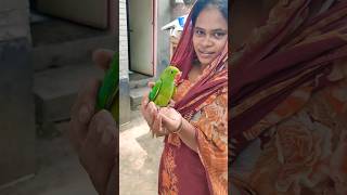 মিঠু আমার সোনা #bird_likes #birdsloverbasirhat #indianbird #viralvideo #birds #funny