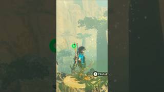 Climbing Tree For Korok Seed #zelda #botw #breathofthewild #nintendo #nintendoswitch