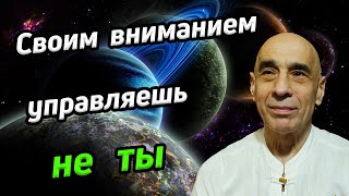 Своим вниманием управляешь не ты / Моменты просветления