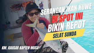 Pake umpan cumi dan udang ternyata serangan ikan kuwe di spot ini bikin repot.