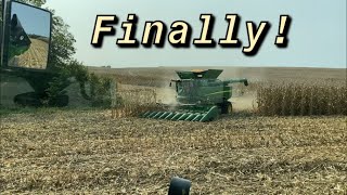 Corn harvest 2020 has begun!