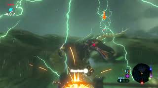 The Legend of Zelda Breath of the Wild Lighting Flurry Rush