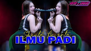 SHINTA ARSINTA - ILMU PADI (OFFICIAL LIVE MUSIC)  NEW ASTINA - PM AUDIO