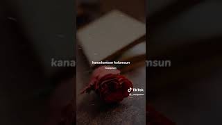 whatsapp status whatsapp durumları whatsapp status whatsapp durum anne whatsapp status nedir(3)