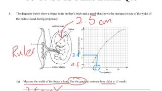 1617 S1 IS Paper Review Final Exam SQ Q8 Part 2