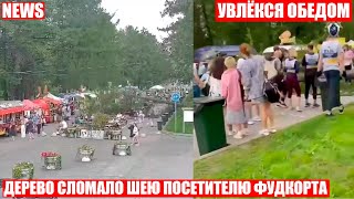 ❗В Петербурге дерево упало на посетителя за столом фудкорта❗