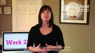 25 Weeks Pregnant - Your 25th Week Of Pregnancy