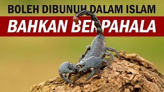 5 Hewan Yang Boleh Dibunuh Dalam Islam Bahkan Bisa Mendapat Pahala