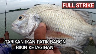 Mancing Ikan bekukon disungai dengan teknik dasaran