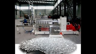 PET twin screw extruder underwater cutting system