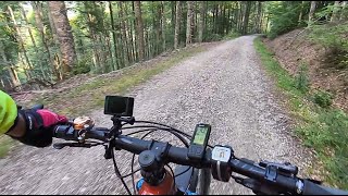 Off Road   XII Vs MTB