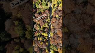 #drone #dronevideo #nature #aerial #photography #autumn #travel #bulgaria #youtube #shorts #fyp🍁