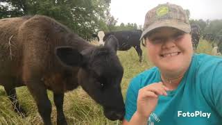 Crazy Week ~ Farm Girl Friday