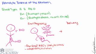 Clinical Correlation: Hemolytic Disease of the Newborn