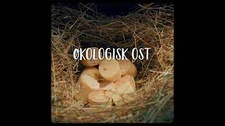 Økologisk ost