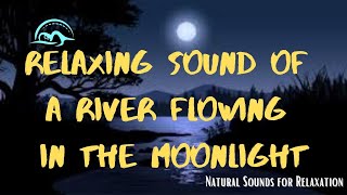 Exclusive Relaxing Sound Of A River Flowing In The Moonlight