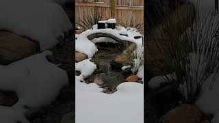 Beautiful all year round #pondless #waterfall