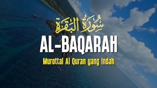 SURAH AL BAQARAH | Setan Kabur dari Rumah | Penenang Hati dan Pikiran | Alaa Yasser