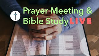 Bible Study & Prayer