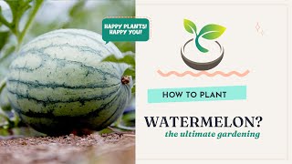 🍉🍀 How to Plant a Watermelon: Your Ultimate Gardening Guide