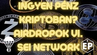 Ingyen pénz kriptoban? Airdropok 6. - SEI Network