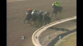 1995 Swaps Stakes