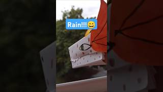 Rainnnnnnnn #music #dragon puppet