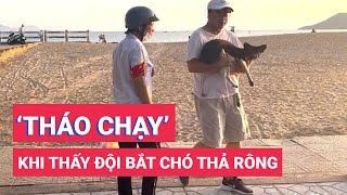 Thấy đội bắt chó thả rông ở bãi biển Nha Trang, chủ ôm chó 'tháo chạy'