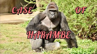 Case of harambe