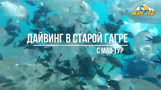 Абхазия. Дайвинг в Старой Гагре