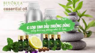 [BIYOKEA 195A] - Tinh dầu xông phòng .Sáu loại tinh dầu thường được sử dụng để xông hương phòng