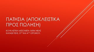 Τζούλια Παπαγεωργίου: Πατήσια (προς πώληση):Μεζονέτα 54τμ, 3ου-4ου ορόφου κατ/κευής 2007