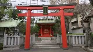 1/2 The Mark of Beauty - Torii Archway