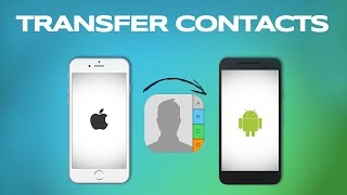 How to Transfer Contacts From Iphone to Android Phone